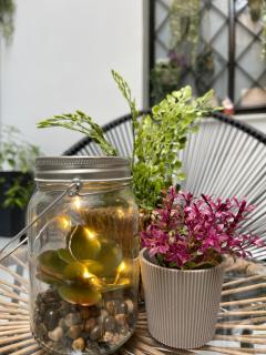 Historic Center Apartment 3 - Atene - 5