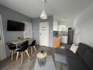 Amaretto Apartamenty Solina - balia z jacuzzi i sauna - 1