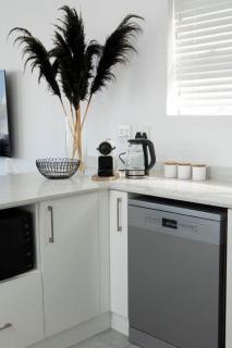 20 Marginella with inverter - 1