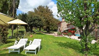 Agriturismo Podere Le Palaie - Monterotondo - 1