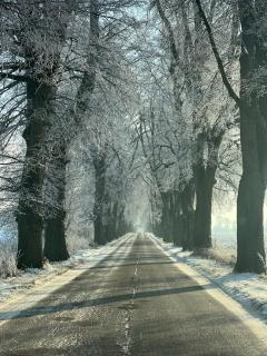 Młyn Sea&Golf w Kołczewie - 1