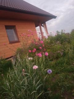 Domek nad Wisłą - - 2