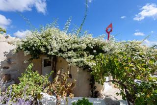 THE OLIVE MILL GUEST HOUSE - Lefkes - 7