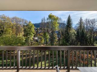 Appartement Confortable 1 Chambre à Megève, Proche Centre avec Piscine et Parking - FR-1-453-125 - 7