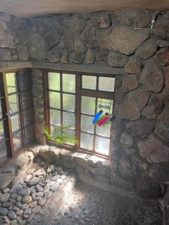 JakkalsDraai River Bush Lodge - 3