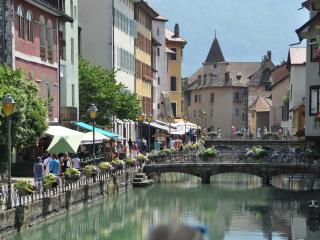 Studio rénové à Annecy avec terrasse, proche commerces et parking privé - FR-1-432-42 - Annecy - 8