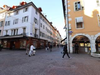 Appartement Annecy centre avec parking privé, proche lac et commerces - FR-1-432-41 - Annecy - 1