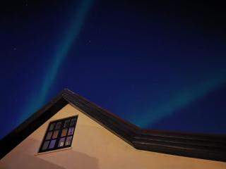 Icelandic Art Garden Villa w. parking in centre city - 3