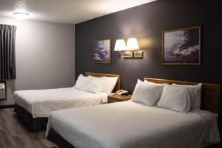 New Victorian Inn & Suites-Norfolk - Norfolk - 6