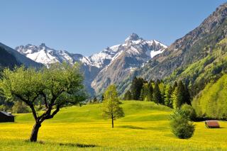 Ferienwohnung Baldauf - Oberstdorf - 2