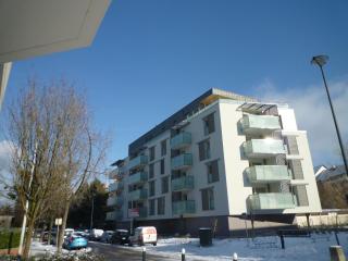 Spacieux appartement à Annecy avec balcon et parking sécurisé - FR-1-432-29 - 9