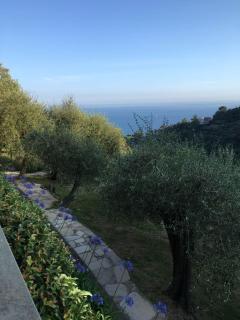 Seaside villa between Portofino and Cinque Terre - Zoagli - 9