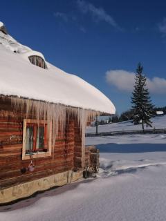 Cabana Păstrăvului - Izvoarele Sucevei - 9