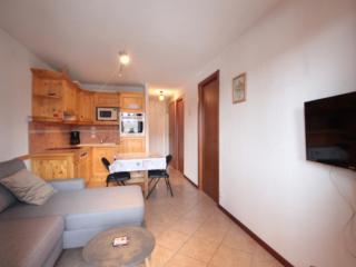 Appartement Central 6 Pers, Parking, Ascenseur, Proche Pistes et Commerces - FR-1-572-22 - Les Carroz d'Araches - 0
