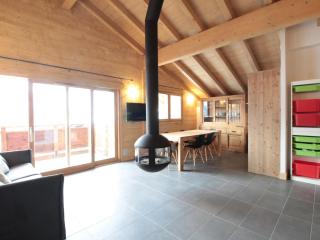Appartement 3P cosy, cheminée, WIFI, garage, proche pistes et commerces - FR-1-572-240 - Les Carroz d'Araches - 0