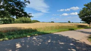 Villa Sonnenschein - 1