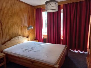 T2 expo sud, à 20m des pistes, Tignes - FR-1-449-28 - Tignes - 4