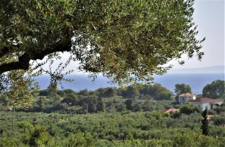 Villa Belvedere - 4 bedrooms Sea view House - Vasilikos - 1