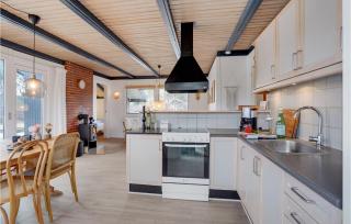 3 Bedroom Awesome Home In Skjern - Skjern - 5