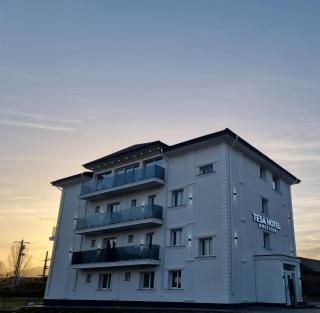 Tesa Boutique Hotel - Târgu Neamț - 4