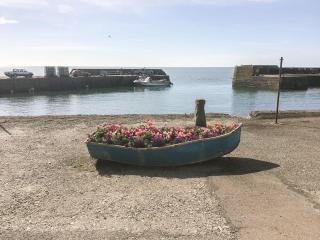 Harbour View - Johnshaven - 6
