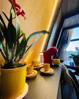 Chalé Aconchegante - Consulte previamente a disponibilidade - 5