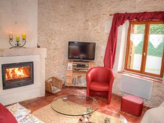 Gîte charmant en Touraine avec jardin et WIFI - FR-1-381-444 - 3