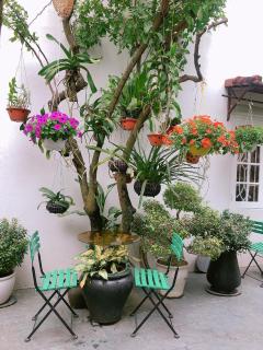 Green Garden Homestay - 5