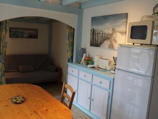 Studio cabine mezzanine 6 pers, terrasse, barbecue, parking privé - Marseillan-Plage - FR-1-326-403 - Marseillan - 7