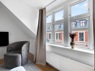 Sanders Leaves - Precious Two-Bedroom Penthouse In Downtown Copenhagen - Copenaghen - 1