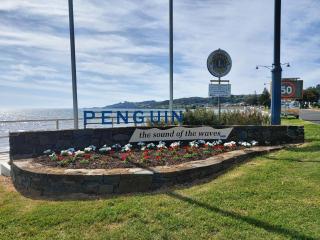 Empty Nest - Penguin - 7