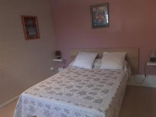Le clos des cigales les lauriers roses - Le Thoronet - 5