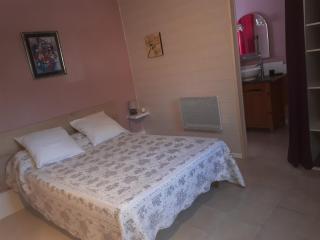 Le clos des cigales les lauriers roses - Le Thoronet - 6