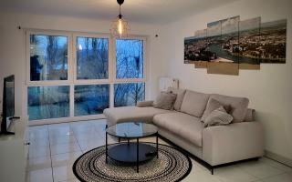Schöne und ruhige Wohnung direkt an der Mosel - Coblença - 0