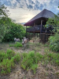 The Amare Cabin - Marloth Park - 0