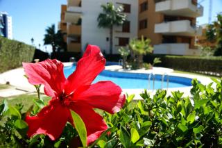 Parque Recoleta 2 PISCINAS - CERCA DE PLAYA - Punta Prima - 6