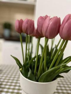 A14 Parliament Sunflower Cozy Apartment - 8