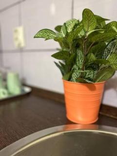 A14 Parliament Sunflower Cozy Apartment - Budapest - 7