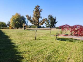 Gites les volets rouges d'Allonnes - 7