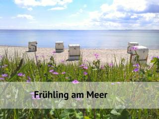 Top - Seaside Appartement mit Meerblick - Timmendorfer Strand - 4