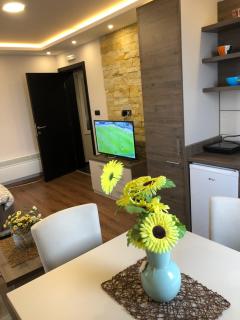 Apartmani Glamur Kopaonik - 6