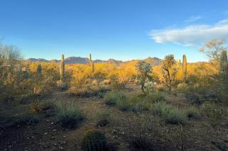 Sunrock on 8 Acres - Tucson - 3