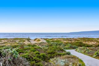 Monterey Dune Dream - Moss Landing - 9