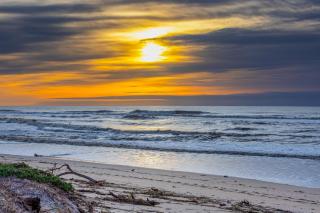 Monterey Dune Dream - Moss Landing - 8