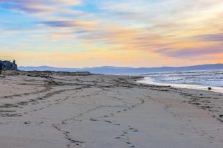 Monterey Dune Dream - Moss Landing - 7