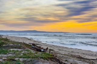 Monterey Dune Dream - Moss Landing - 6