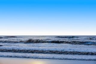 Monterey Dune Dream - Moss Landing - 5