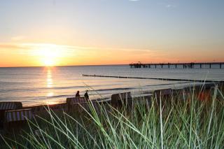 Haus zum Strand 2 4 - Wustrow - 5