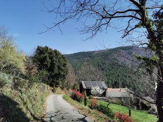 Gite Castagnere 4* en Cévennes - 1