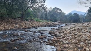PONMUDI DALE. HOMESTAY - Kallār - 9